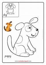 Free Baby Animal Coloring Pages sketch template