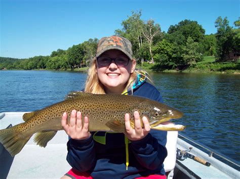 Trout Fishing Basics in White River AR