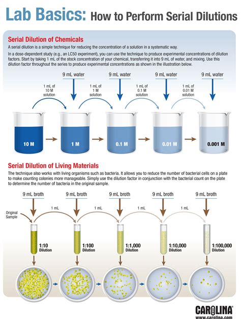 Infographic—Lab Basics: How to Perform Serial Dilutions | Carolina.com