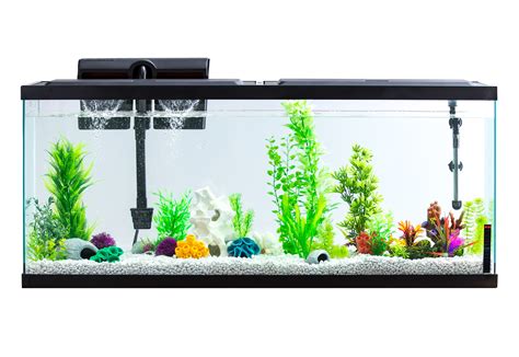 55 Gallon Aquarium And Stand Combo - Aquarium Views