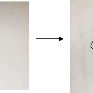 An example drawing from “The Spot” activity | Download Scientific Diagram