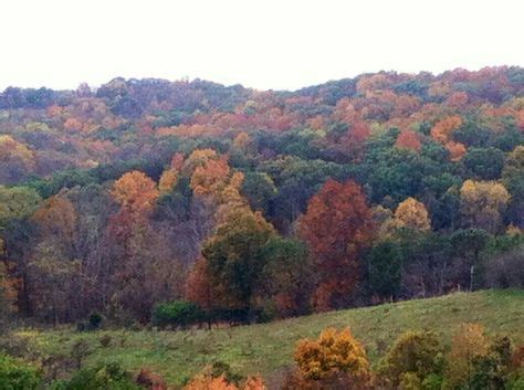 Mineral Wells, West Virginia | West virginia, Places to travel, Virginia