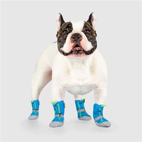 Dog Hot Pavement Boots for Paw Protection | Canada Pooch