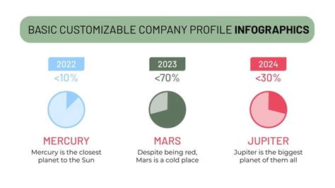 Basic Customizable Company Profile Infographics | Google Slides