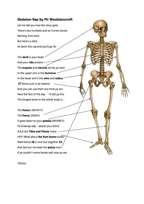 Year 4 Daniel & Jeremiah Class – The Skeleton Rap – Year 4