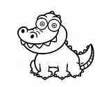 Caiman Coloring Page At GetDrawings  Free Download sketch template