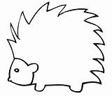 Free Porcupine Coloring Pages Download  sketch template