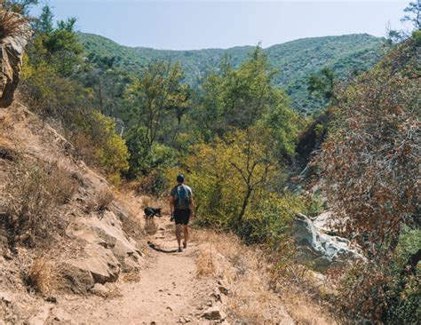 Cold-Spring-Trail | California Wanderland