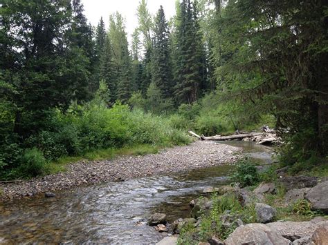 Hiking Mt. Fernie Provincial Park | Tourism Fernie