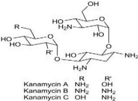 Chemical structure of kanamycin. | Download Scientific Diagram