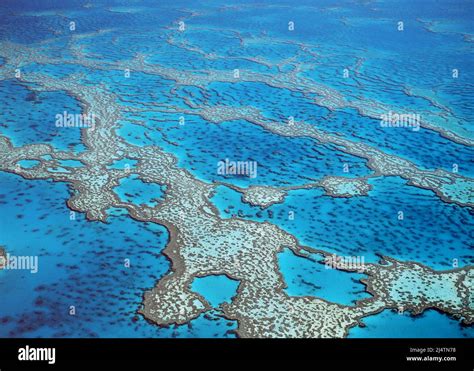 Aerial view of Hardy, reef, part of the Australian Great Barrier reef ...