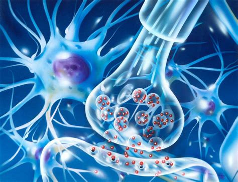 Nerve synapse, illustration – Bild kaufen – 12446545 Science Photo Library