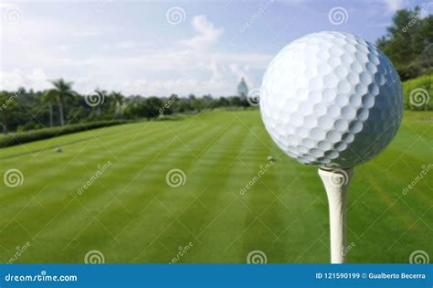 Close Up of a Golf Ball on a Course Stock Image - Image of trees, grass: 121590199