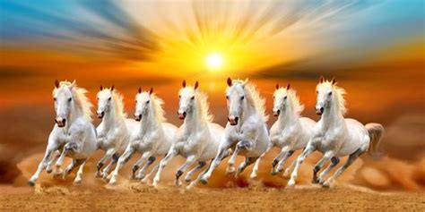 Bộ sưu tập 500 7 white galloping horses with rising sun in the ...