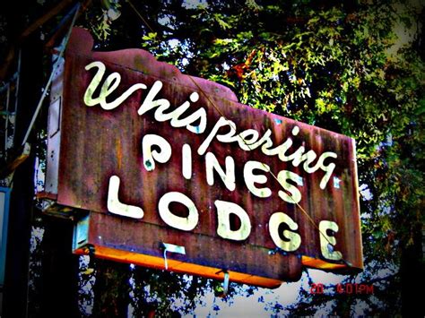 Whispering Pines Lodge Sunrise Music, Cabin Decorating, Forest Floor ...