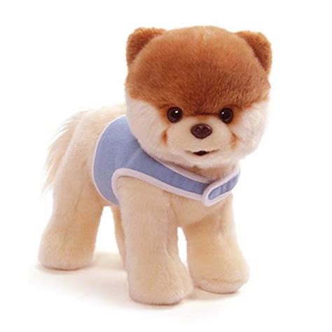 Life-Size Boo Stuffed Dog Plus, 11", BOO, THE WORLD'S CUTEST DOG: This ...