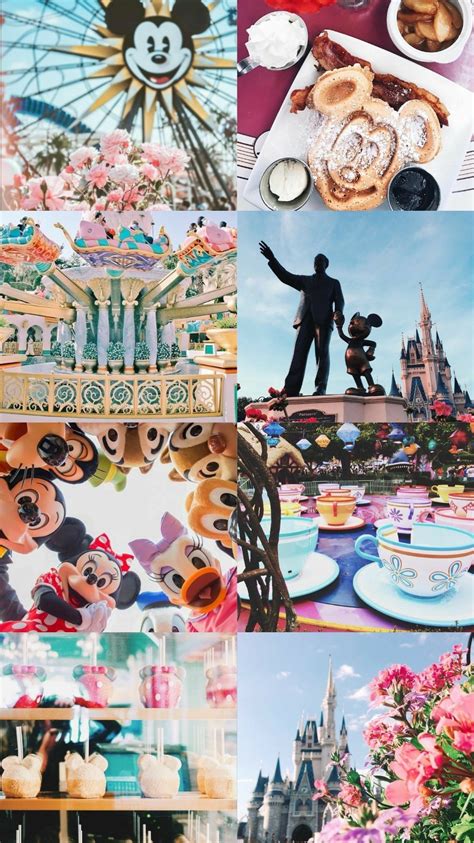 Aesthetic Wallpapers — Disney World Aesthetic 🏰 Anonymous asked:...