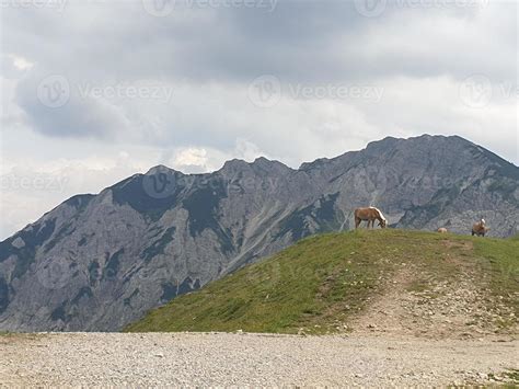 the bavarian alps 11212212 Stock Photo at Vecteezy