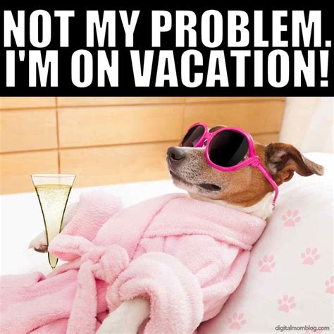 Best Vacation Memes | Vacation meme, Vacation quotes funny, Vacation quotes