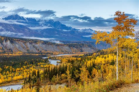 Autumn Leaf-Peeping, Alaska-Style | ALASKA.ORG