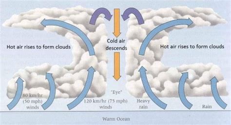 Tropical Cyclones: Favorable Conditions for Formation, Stages of Formation & Structure - PMF IAS