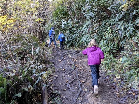 Sunset Bay to Shore Acres: Hiking the incredible Oregon Coast