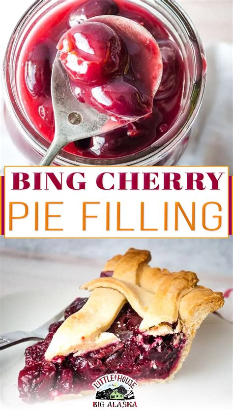 Bing Cherry Pie Filling Recipe | Bing cherry pie recipe, Cherry pie ...