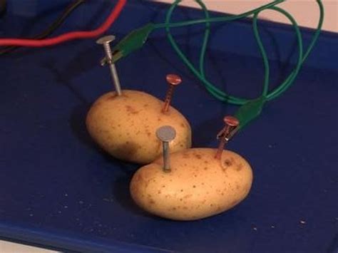 Potato Battery Experiment For Kids | Kids Matttroy