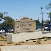 Palmdale Animal Care Center - 22 Photos & 30 Reviews - Pet Adoption ...