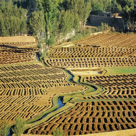 Afghanistan, Bamian Valley. Farmers in the dry Bamian Valley, a World Heritage Site, in northern ...