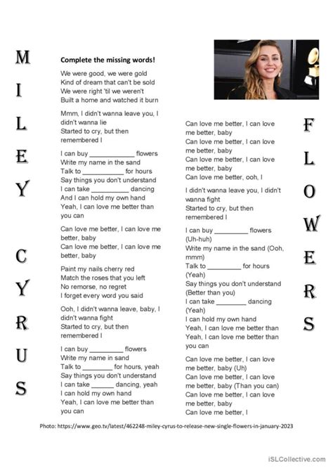 Miley Cyrus Flowers Lyrics