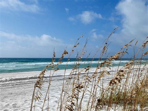 THE 15 BEST Things to Do in Pensacola Beach (2024)