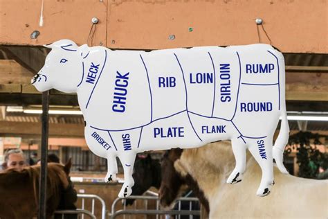 Smoked Chuck Roast vs Brisket: Selecting The Right Cut