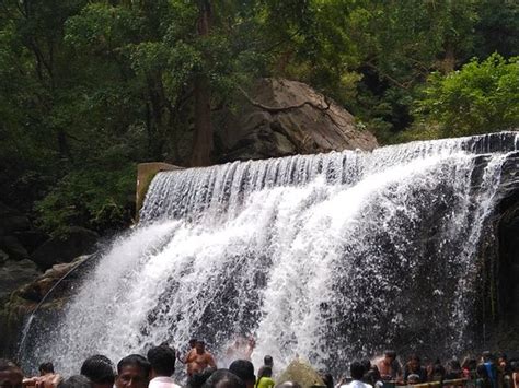 Suruli Falls (Theni) - 2020 All You Need to Know BEFORE You Go (with ...