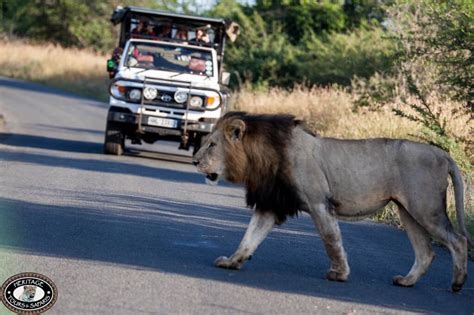 Game Reserves near Durban KwaZulu Natal South Africa, day safaris