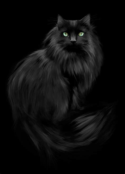 Black Cat Green Eyes | visitchile.cl