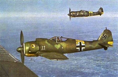 Asisbiz Focke Wulf Fw 190A6 JG54 information Immola 1944-01