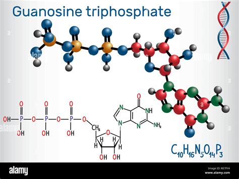 Gtp synthesis Stock Vector Images - Alamy