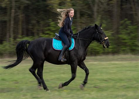 Sensational Trails for Horseback Riding in Michigan