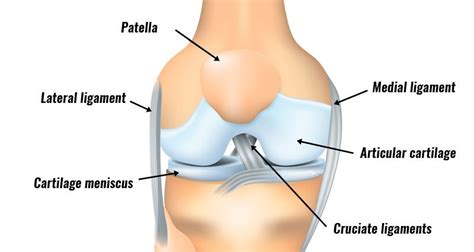 Acute Knee Pain - Knee Joint Injuries - Sprains, Strains & Cartilage Tears