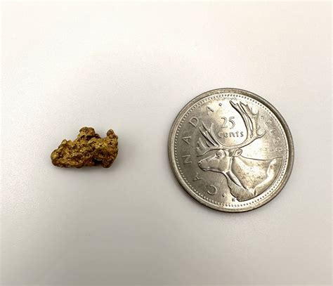 Gold Nugget 2.31g SOLD - Mammoth Gold Nuggets