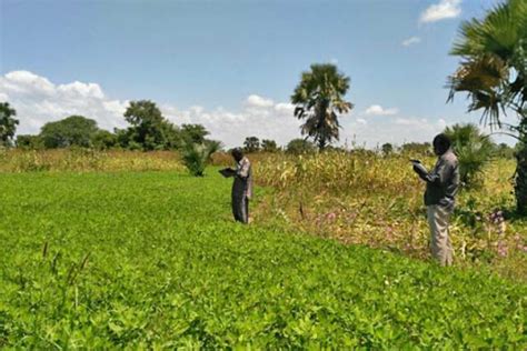 Govt of Sudan, FAO, WFP call for investment in Sudan's agriculture