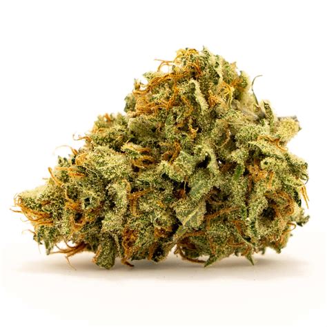 Ghost Train Haze Strain Review - The Lodge Cannabis Denver