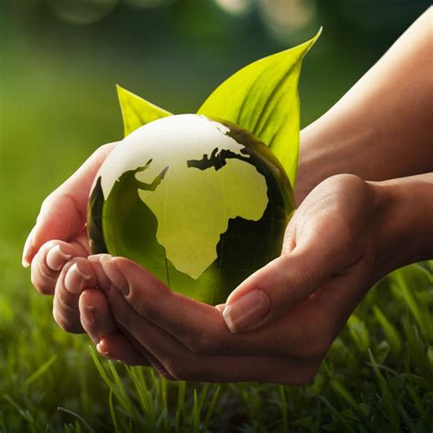 Top 10 Ways to Protect The Environment - Save Our Environment at Home