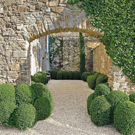 341 best images about BOXWOOD/ TOPIARY on Pinterest | Gardens, Hedges and Boxwood hedge