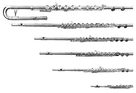 Instrument Family - FLUTE FACTS