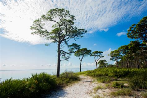 20 Amazing Hiking Trails in Florida