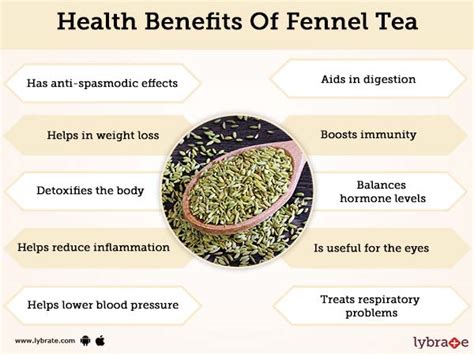 Benefits of Fennel Tea And Its Side Effects | Lybrate