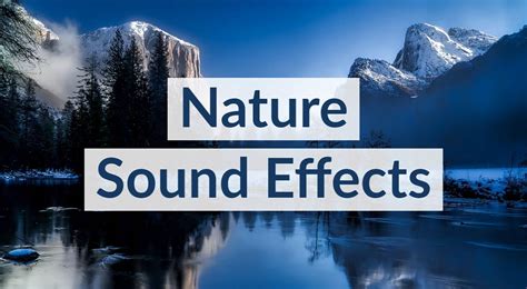 Royalty Free Nature Sound Effects - TunePocket