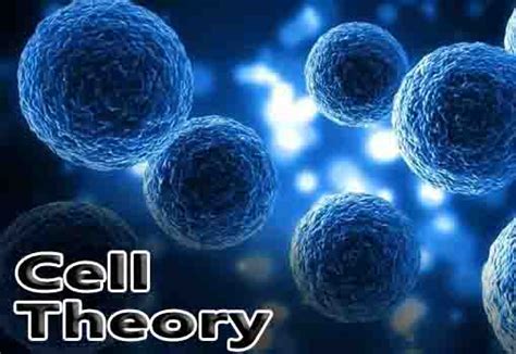 Cell Theory